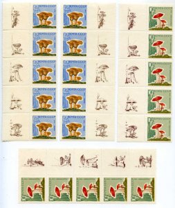 501203 USSR 1964 year block five stamps mushrooms w/ MARGINS