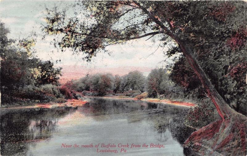 LEWISBURG PA NEAR THE MOUTH BUFFALO CREEK FROM THE BRIDGE LINDIG'S POSTCARD 1913