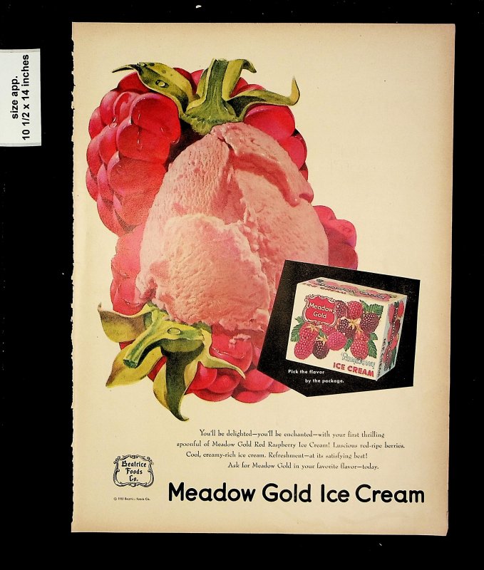 1951 Meadow Gold Ice Cream Raspberry Vintage Print Ad 015702