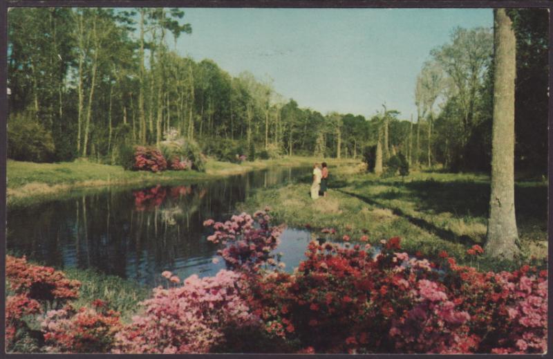 Jefferson Davis Shrine,Biloxi,MS Postcard BIN