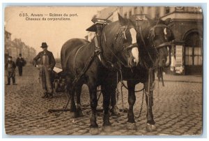 c1910 Scenes Of The Port Horses Of Corporations Antwerp Belgium Postcard