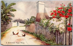 A Somerset Highway Dunball England Street House Plants Chickens Postcard