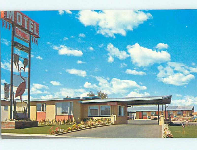 Unused Pre-1980 FLAMINGO MOTEL Medicine Hat AB n8774