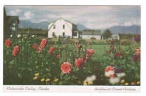 Northwest Airlines Matanuska Valley Alaska Vin Postcard