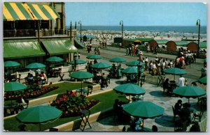 Vtg Atlantic City New Jersey NJ Dennis Hotel Terrace Umbrellas View Postcard