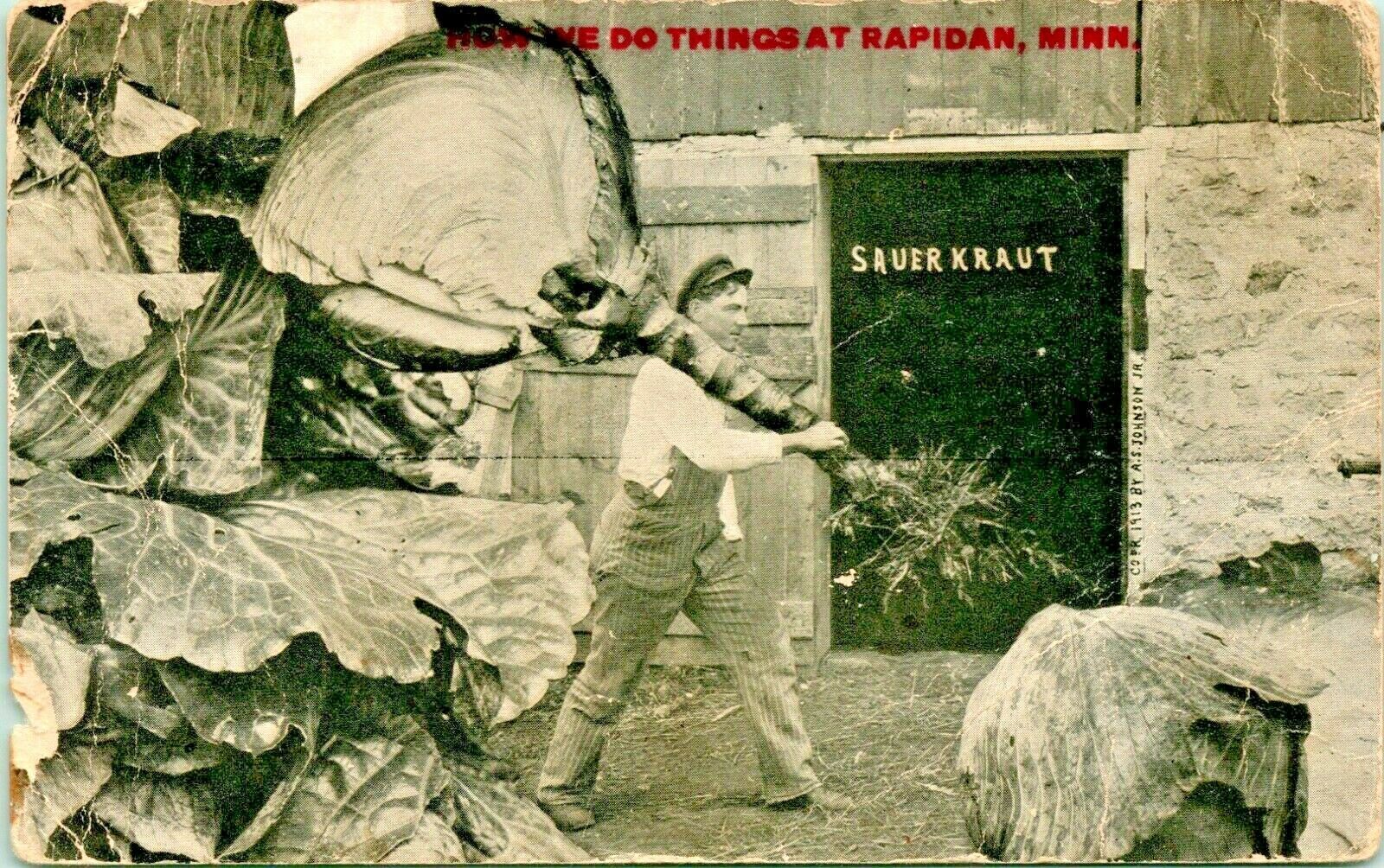 Vtg Postcard Rapidan Minnesota MN We Do Things Huge Giant Cabbage Sauerkraut United States