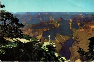 National Park Pima Point View Grand Canyon Arizona AZ Chrome Postcard WOB Posted 