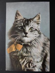 Cat Theme Depicts CAT IN A RIBBON - SO INNOCENT c1906 by The Wrench Series 38.G
