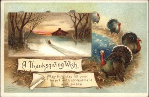 Thanksgiving CLAPSADDLE Wintry Farm Turkeys Embossed c1900-20s Vintage Postcard