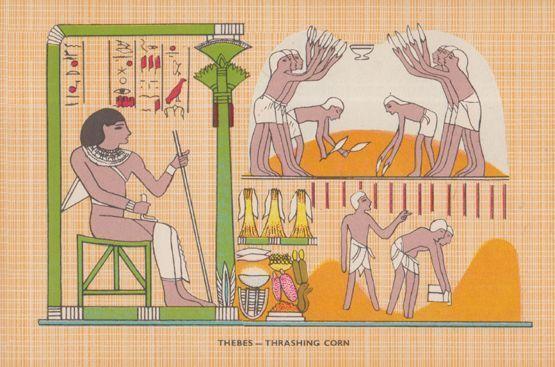 Thebes Thrashing Corn Agriculture Farming Antique Egyptian Art Postcard