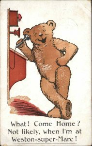 Weston-Super-Mare Somerset Teddy Bear on Old Telephone c1910 Postcard