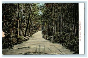 c1910 Lover's Lane Plymouth New Hampshire NH Unposted Antique Postcard 