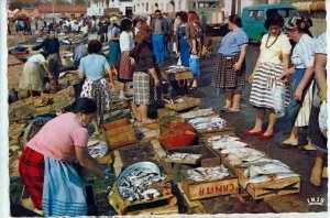 VINTAGE POSTCARD THE TIME OUT FISH MARKET AT LISBON PORTUGAL LATE 1960'S MINT