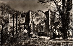 CPA DAMMARIE-les-LYS MELUN - Les Ruines de l'Abbaye du Lys (1320416)