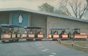 Detroit Zoological Park Tractor Train by Penguin Park USA Postcard