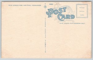 Franklin Pennsylvania~Park Hotel~Vintage Cars~House Next Door~c1920 Postcard