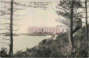 Old Postcard Ploumanach C N Chateau Costaeres