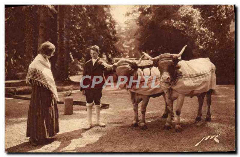 Old Postcard Life Pyrenees fields hitch Oxen