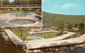 ASHEVILLE, North Carolina NC  HOWARD JOHNSON'S MOTEL Pool~Spa ROADSIDE Postcard