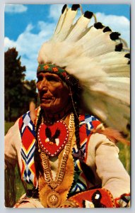 Native Americana~Indian Chief W/ Headdress & Embroidered Eagle Symbol~Vintage PC