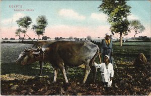 PC EGYPT, LABOREUR INDIGÉNE, Vintage Postcard (b43986)