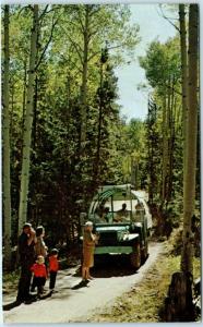 ESTES PARK, Colorado  CO   Tour Vehicle NATIONAL FOREST TOURS 1970  Postcard