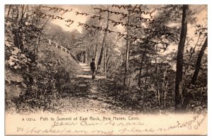 1909 Path to Summit of East Rock, Forest Scene, New Haven, CT Postcard