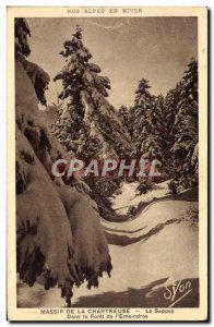 Old Postcard Chartreuse Le Sappey In the forest of & # 39Emeindras