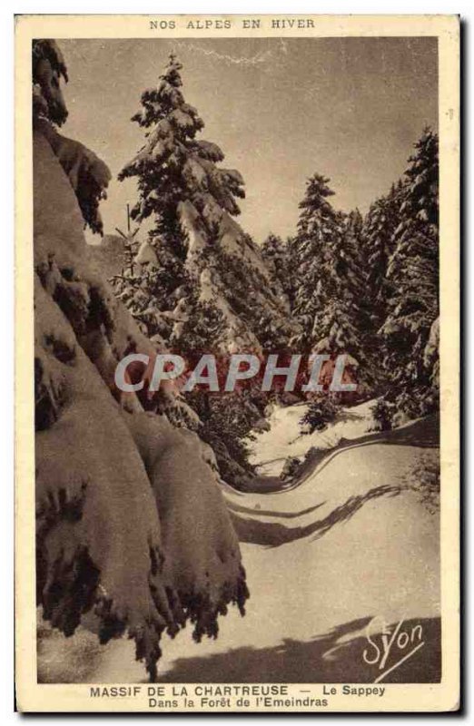 Old Postcard Chartreuse Le Sappey In the forest of & # 39Emeindras