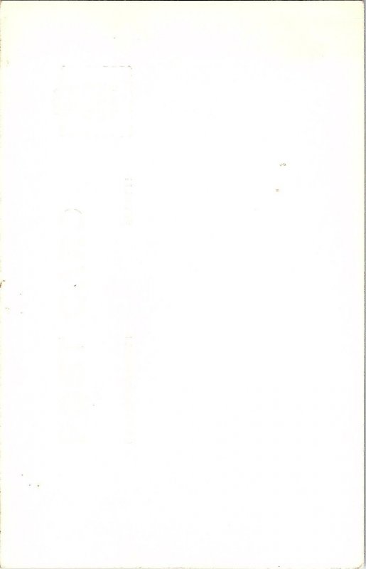 RPPC Postcard Banyan Tree West Palm Beach Florida 1950s