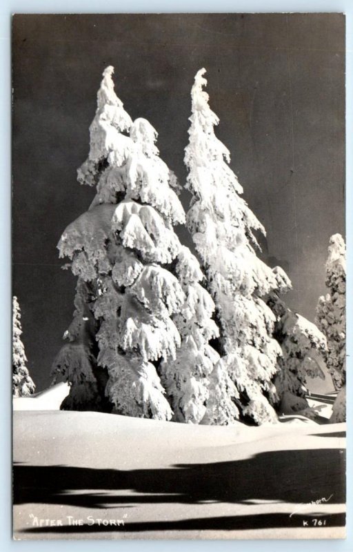 RPPC LOVELAND?, CO Colorado~ AFTER the STORM Snow Scene Sanborn 1940s Postcard