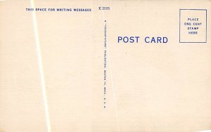 Monkey Jungle Miami, Florida, USA Monkey Unused 