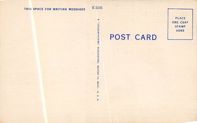 Monkey Jungle Miami, Florida, USA Monkey Unused 