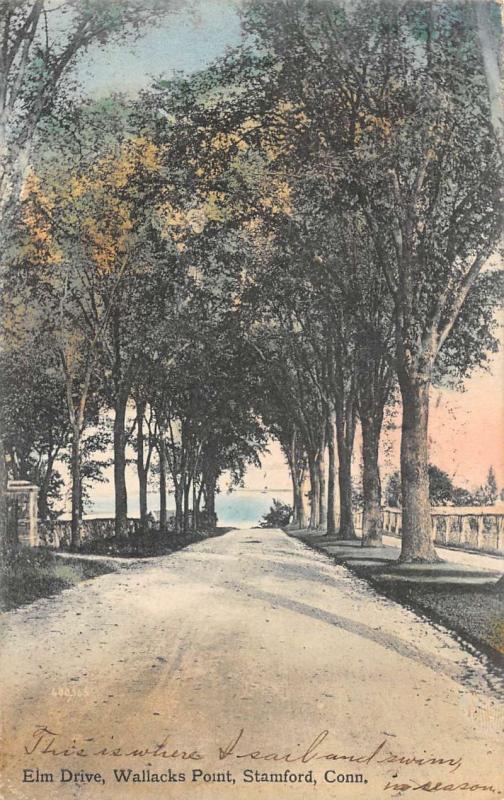 Stamford Connecticut Wallacks Point Elm Drive Antique Postcard K76550