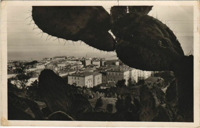 CPA Ajaccio CORSICA (1077752)