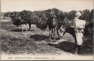 Algeria Biskra Scenes Et Types Chameaux Porteurs Vintage Postcard C148