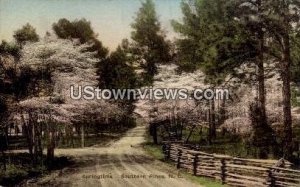 Springtime in Southern Pines, North Carolina