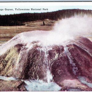 c1930s Yellowstone National Park WY Sponge Geyser Vent Early Linen Postcard A229