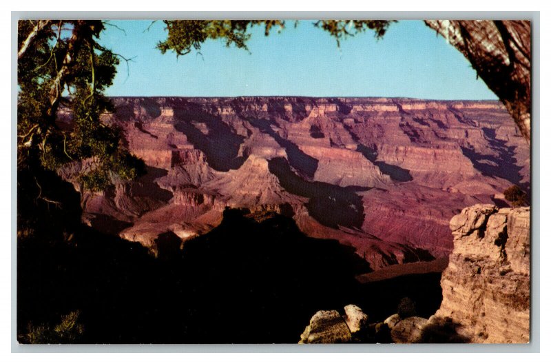 Postcard AZ Grand Canyon National Park Fred Harvey #2