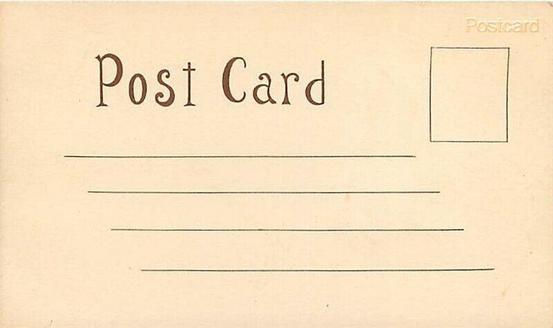 Greeting, You are Foxy, Fox, Undivided Back