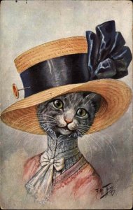 Arthur Thiele 1113 Fancy Cat Woman Big Hat Fantasy c1910 Postcard #2