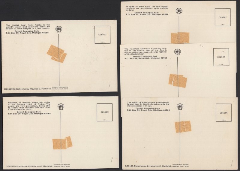 Lot of 5 Michigan ROYAL OAK Detroit Zoological Park - Zoo Animals  ~ Chrome