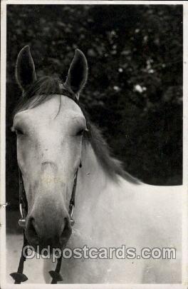 Horse 1947 very light tear left edge, very light corner wear close to perfect...