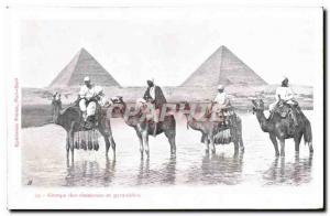 CPA Egypt Egypte Groupe de chasseurs et pyramides