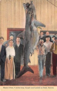 Honolulu Hawaii Shark Caught Off Dock, Color Lithograph Vintage Postcard U10999