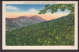 Western North Carolina - Hawk's Bill Mountain ~ Linen