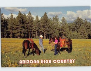 Postcard Arizona High Country, Arizona