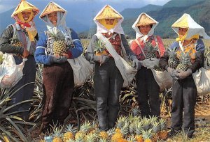 Pineapple farmers Southern Taiwan China, People's Republic of China 1994 