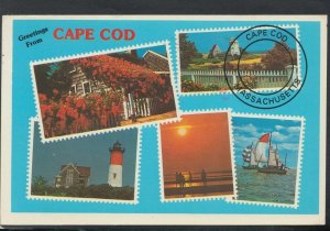 America Postcard - Greetings From Cape Cod, Massachusetts     T9117