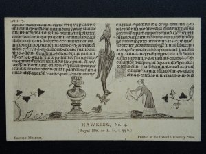 Mediaeval Sport HAWKING Birds of Prey (4) c1905 Postcard by Oxford University